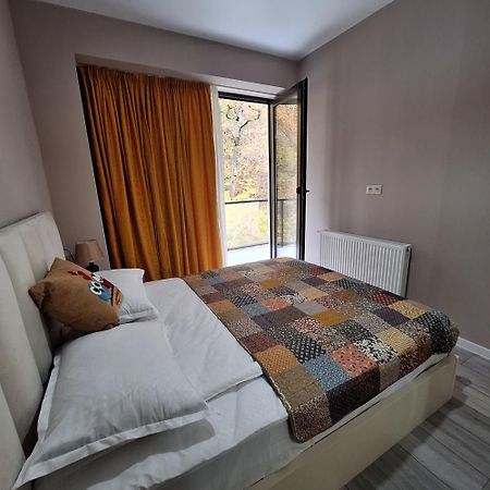 Likani - 407 Apartman Borzsomi Kültér fotó